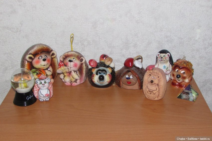 Мой новый Ёжик по имени Колобок и его большая дружная семья (фото 5)