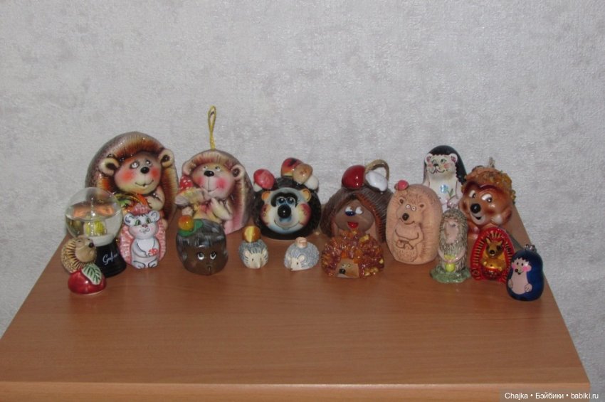 Мой новый Ёжик по имени Колобок и его большая дружная семья (фото 7)