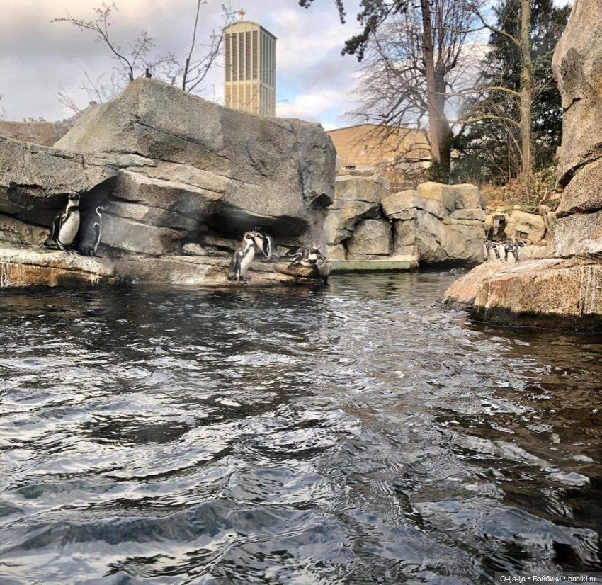 Новогоднее путешествие Санни в Германию