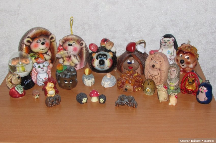 Мой новый Ёжик по имени Колобок и его большая дружная семья (фото 8)