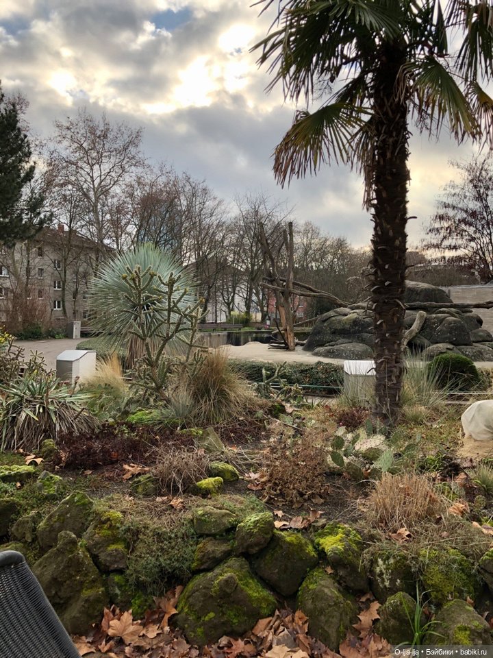 Новогоднее путешествие Санни в Германию