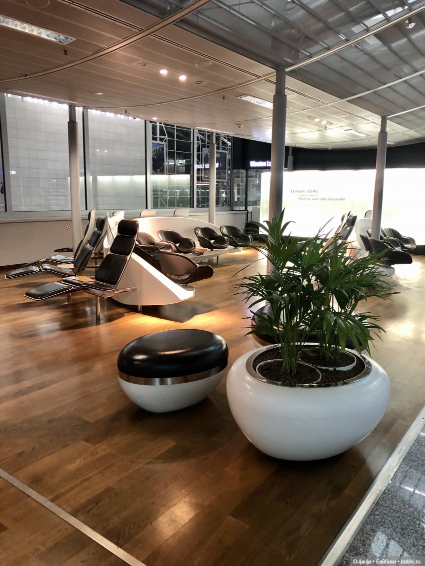 Новогоднее путешествие Санни в Германию