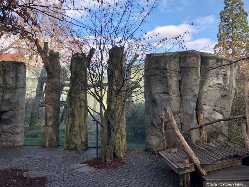 Новогоднее путешествие Санни в Германию