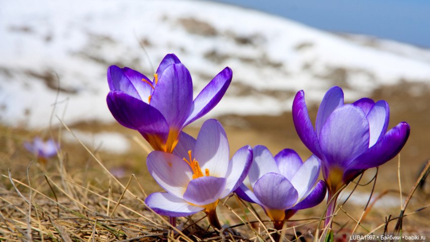 Коллекция "Времена года". Заключительная 3 часть (фото 8)