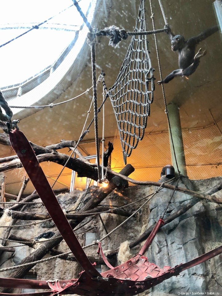 Новогоднее путешествие Санни в Германию