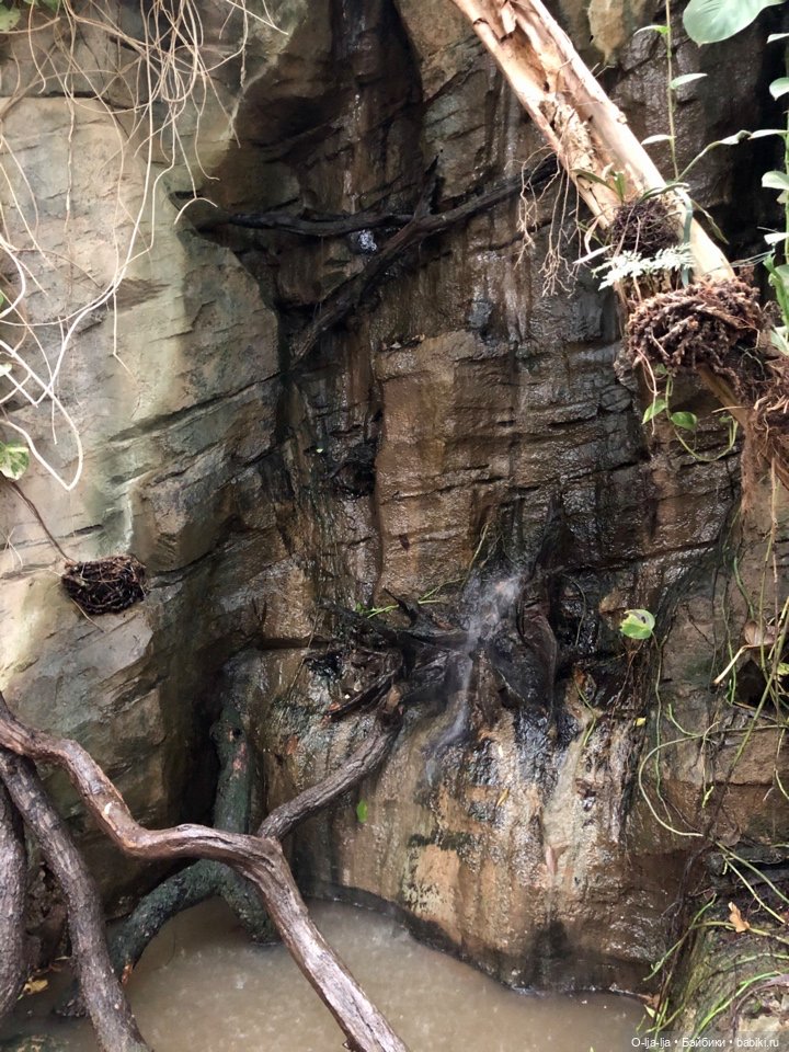 Новогоднее путешествие Санни в Германию