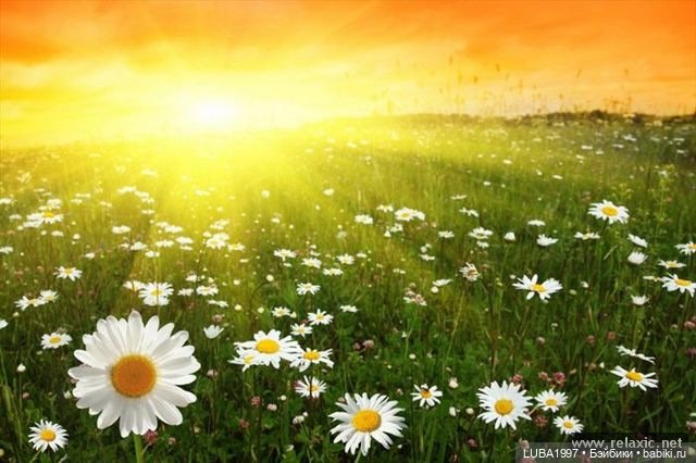 Образы кукол Хелен Киш на тему Времена года (фото 3)