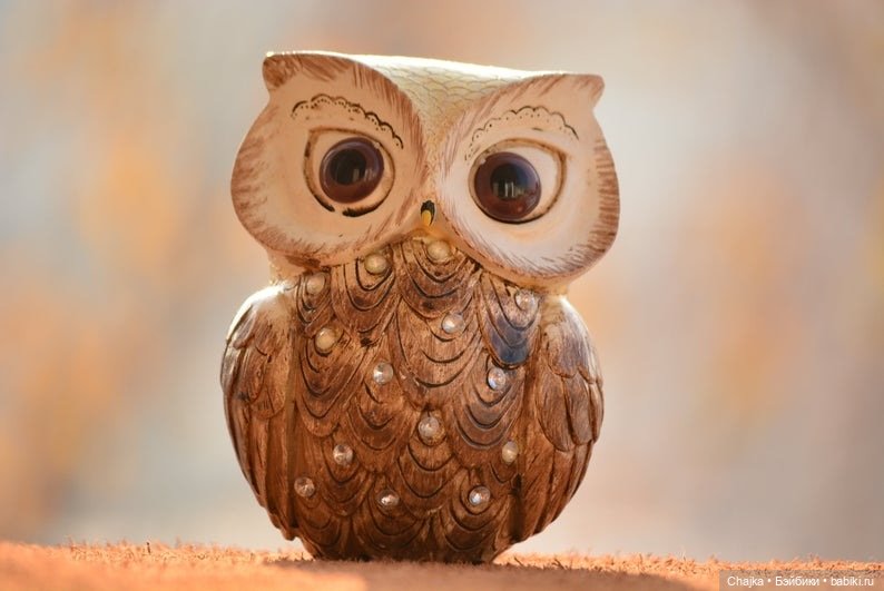 TheNobleElephant - Сова-символ долголетия, мудрости, знаний и эрудиции, рассеивающий тьму невежества (фото 8)