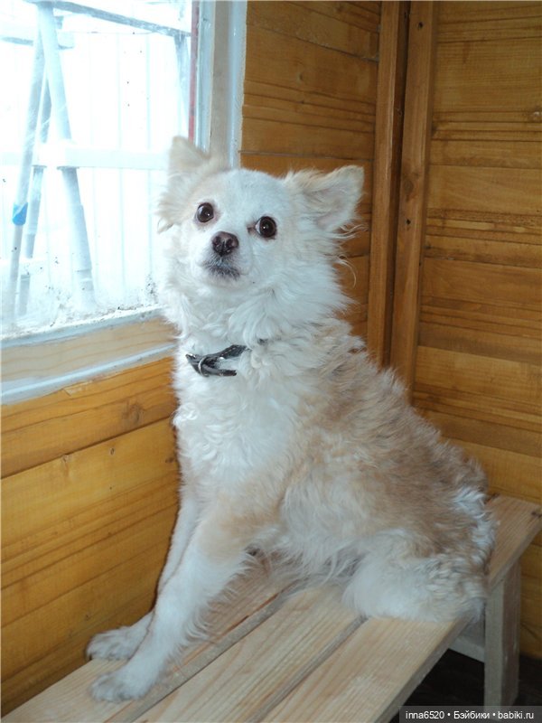 Кого же Ника встретила в саду? Или исполнение желания, еще одного. Куколка Миношечка