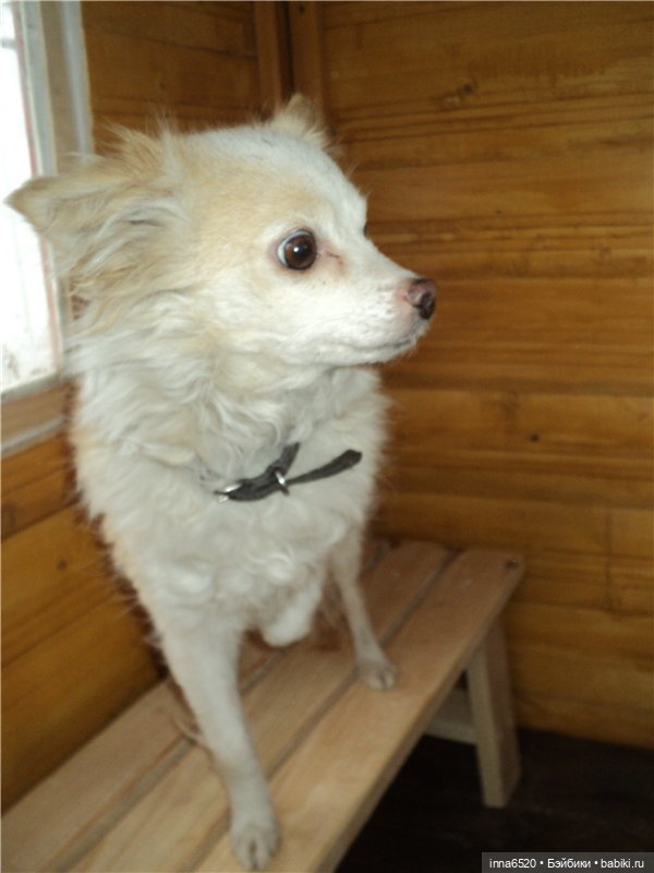 Кого же Ника встретила в саду? Или исполнение желания, еще одного. Куколка Миношечка