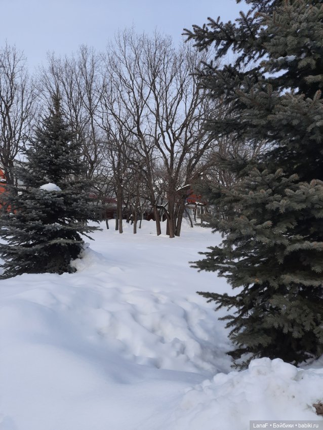 С праздником Весны! С 8 марта, красотки!!!(поздравляет еще Эля-пепита от Антонио Хуан)