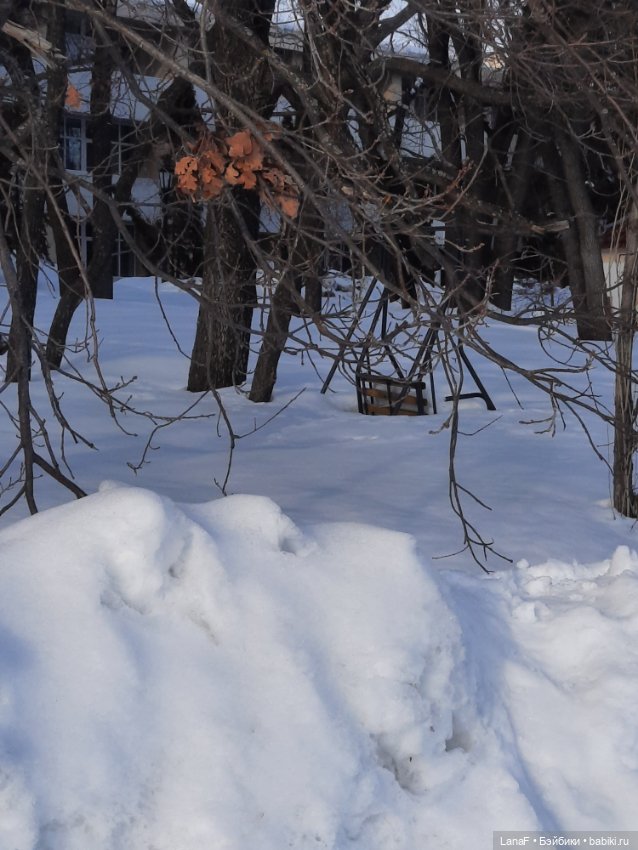 С праздником Весны! С 8 марта, красотки!!!(поздравляет еще Эля-пепита от Антонио Хуан)