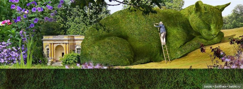 Чудо Топиари КОТ, Ричард Сондерс. 'The Topiary Cat', Richard Saunders (фото 9)