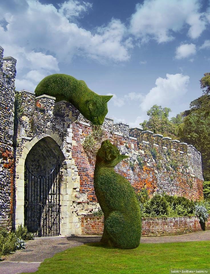 Чудо Топиари КОТ, Ричард Сондерс. 'The Topiary Cat', Richard Saunders (фото 8)