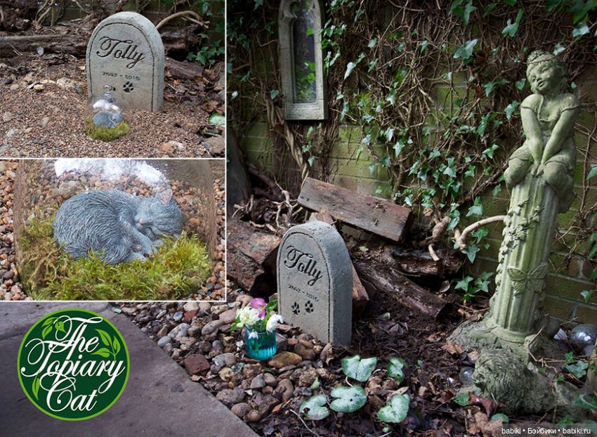 Чудо Топиари КОТ, Ричард Сондерс. 'The Topiary Cat', Richard Saunders (фото 5)