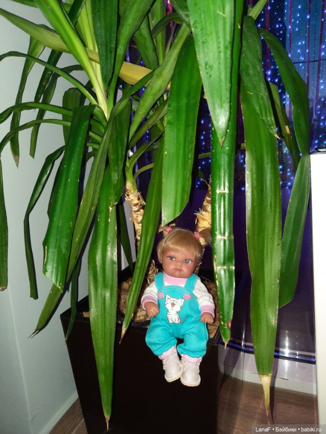 С праздником Весны! С 8 марта, красотки!!!(поздравляет еще Эля-пепита от Антонио Хуан) (фото 5)