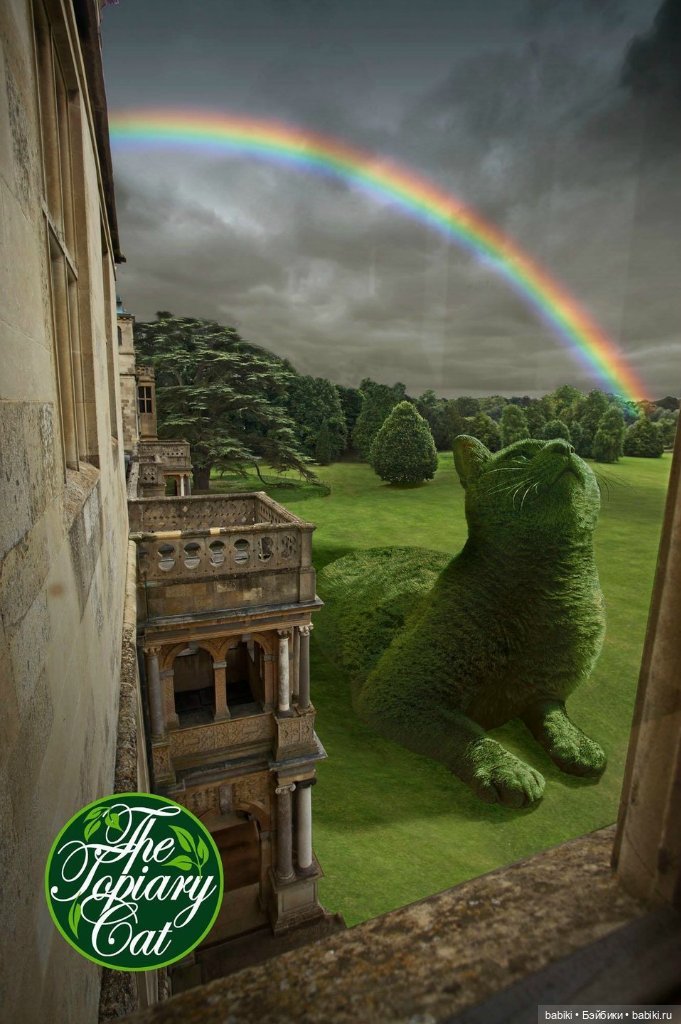 Чудо Топиари КОТ, Ричард Сондерс. 'The Topiary Cat', Richard Saunders (фото 7)