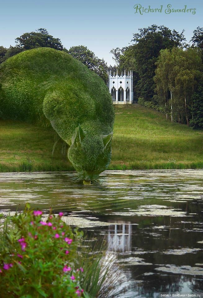 Чудо Топиари КОТ, Ричард Сондерс. 'The Topiary Cat', Richard Saunders (фото 3)