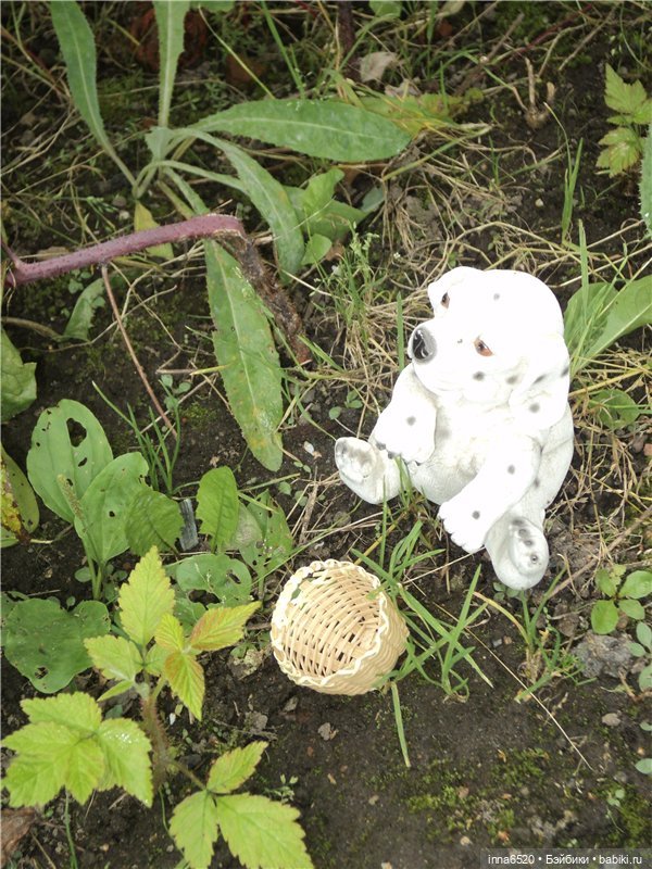 Приключения Таурэлии( Талиссы)