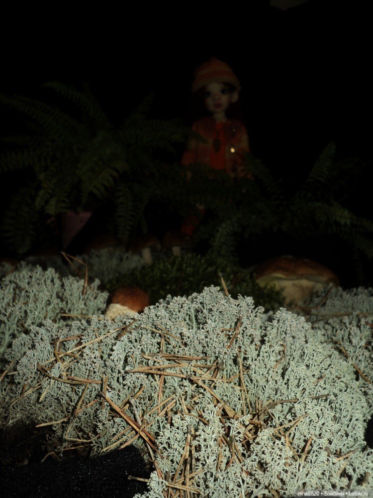 Приключения Таурэлии( Талиссы)