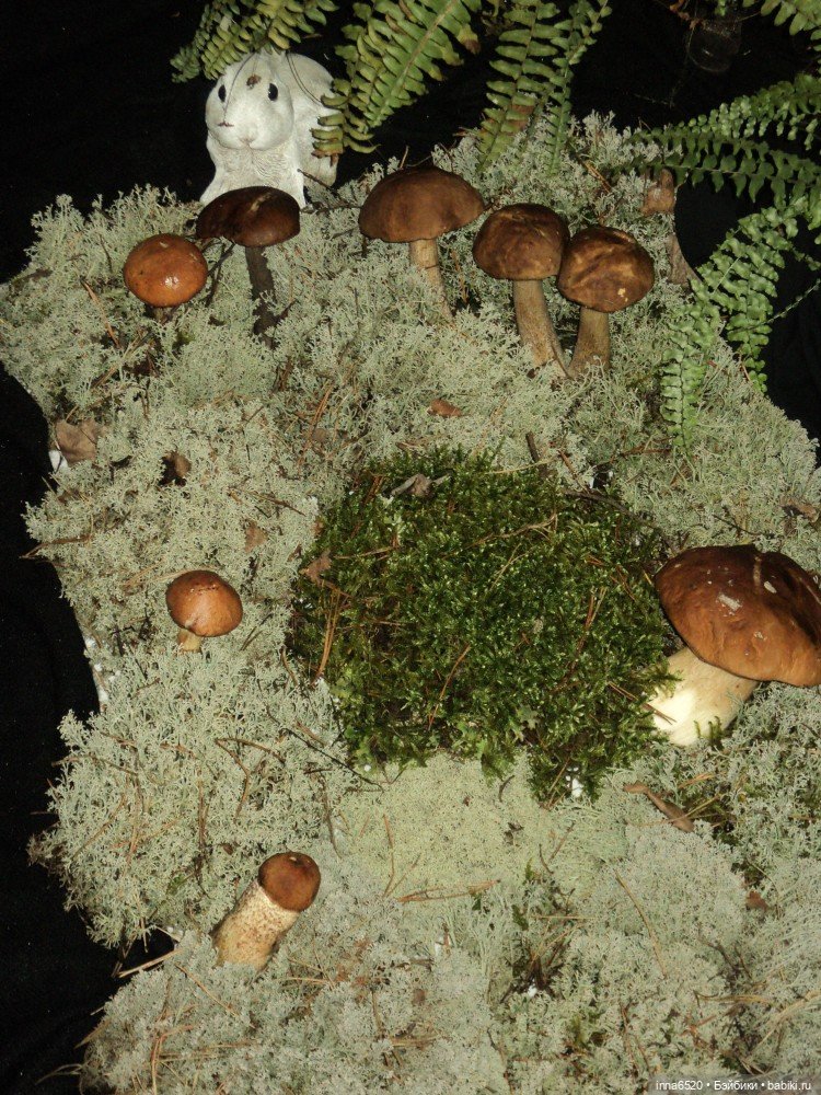 Приключения Таурэлии( Талиссы). часть 2 (фото 2)