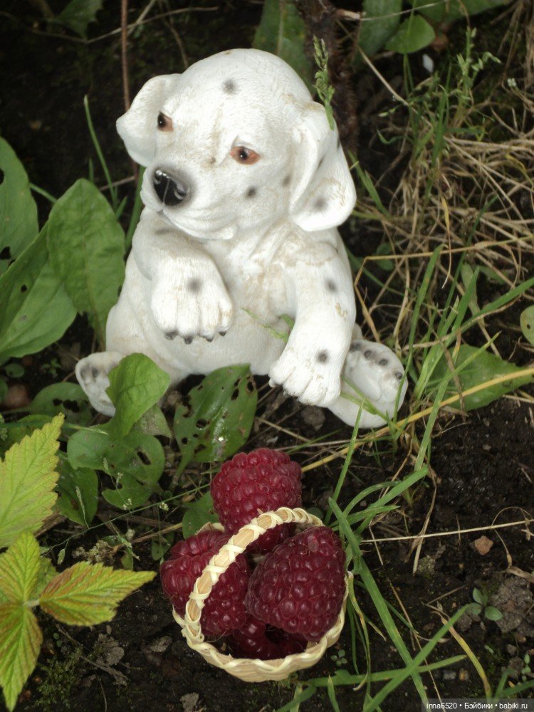 Приключения Таурэлии( Талиссы)