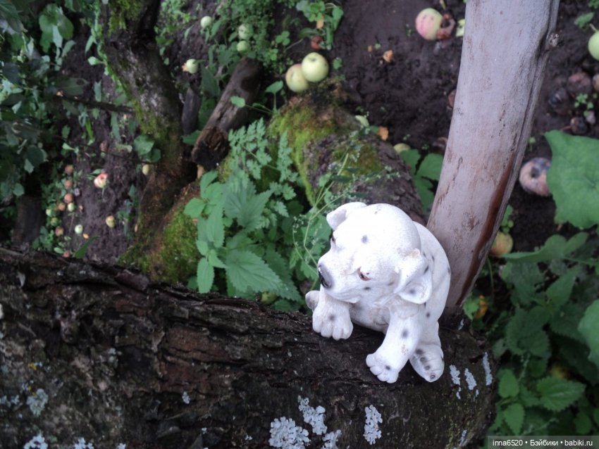 Приключения Таурэлии( Талиссы)