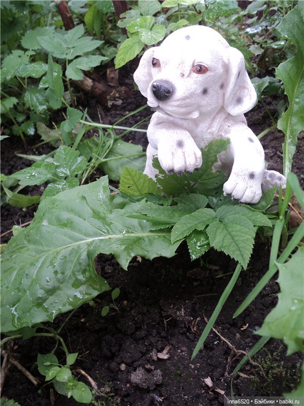 Приключения Таурэлии( Талиссы)