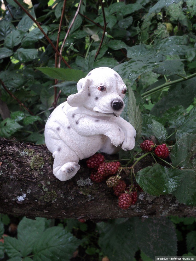 Приключения Таурэлии( Талиссы)