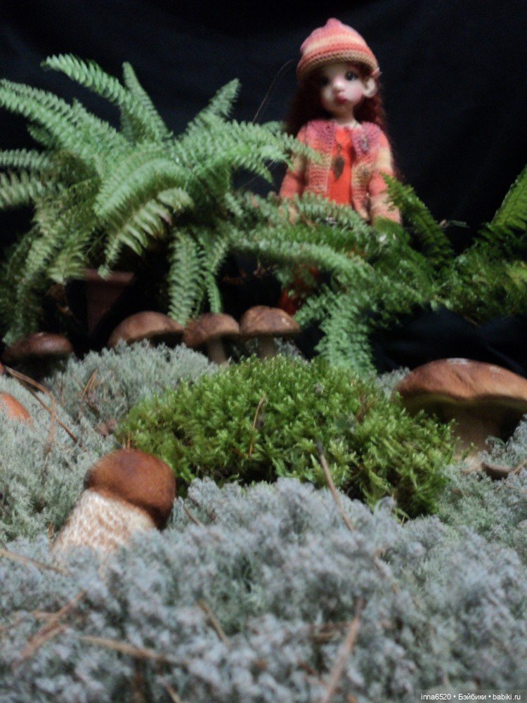 Приключения Таурэлии( Талиссы)