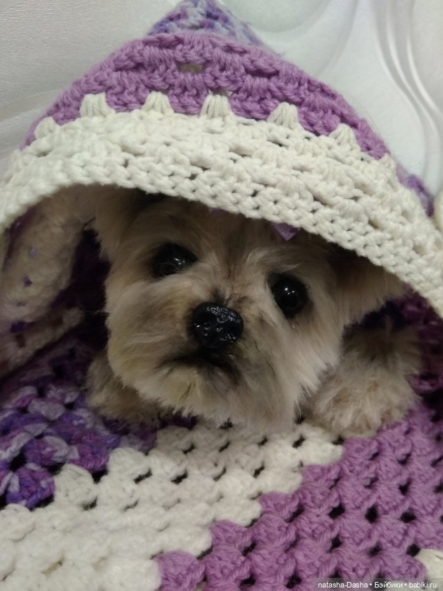 Малышка Йорочка — Авторские мишки Тедди и друзья: фото (фото 3)