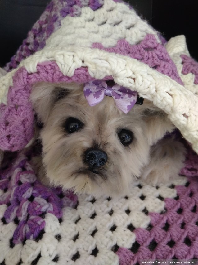 Малышка Йорочка — Авторские мишки Тедди и друзья: фото (фото 4)