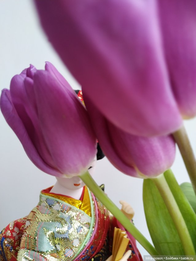 Спонтанная фотосессия Майко