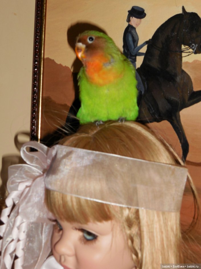 Джулия и попугай. Коллекционная кукла от Fayzah Spanos (фото 5)