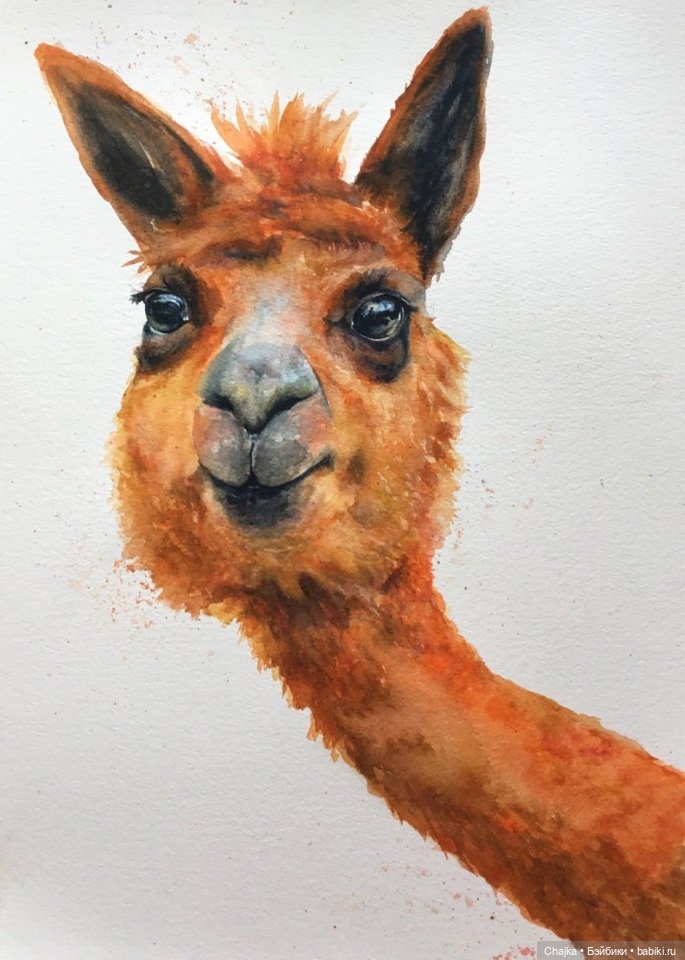 VMcgaugheyFineArt - Акварельная живопись британского художника Victoria Mcgaughey (фото 9)