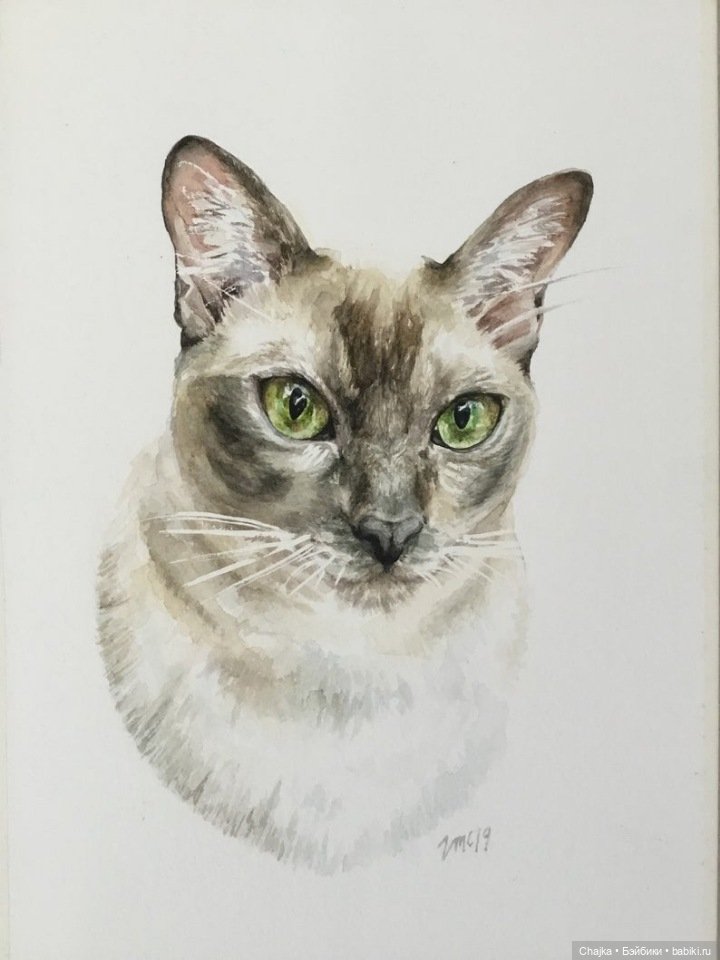 VMcgaugheyFineArt - Акварельная живопись британского художника Victoria Mcgaughey