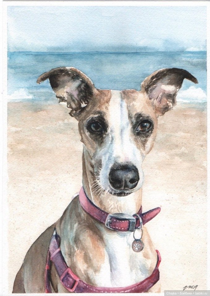 VMcgaugheyFineArt - Акварельная живопись британского художника Victoria Mcgaughey