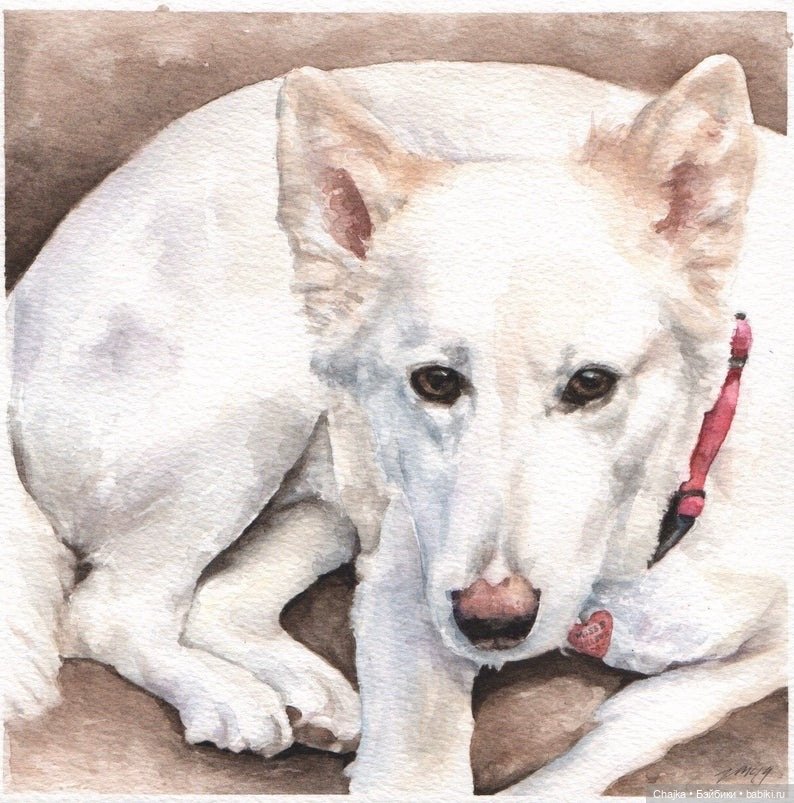 VMcgaugheyFineArt - Акварельная живопись британского художника Victoria Mcgaughey