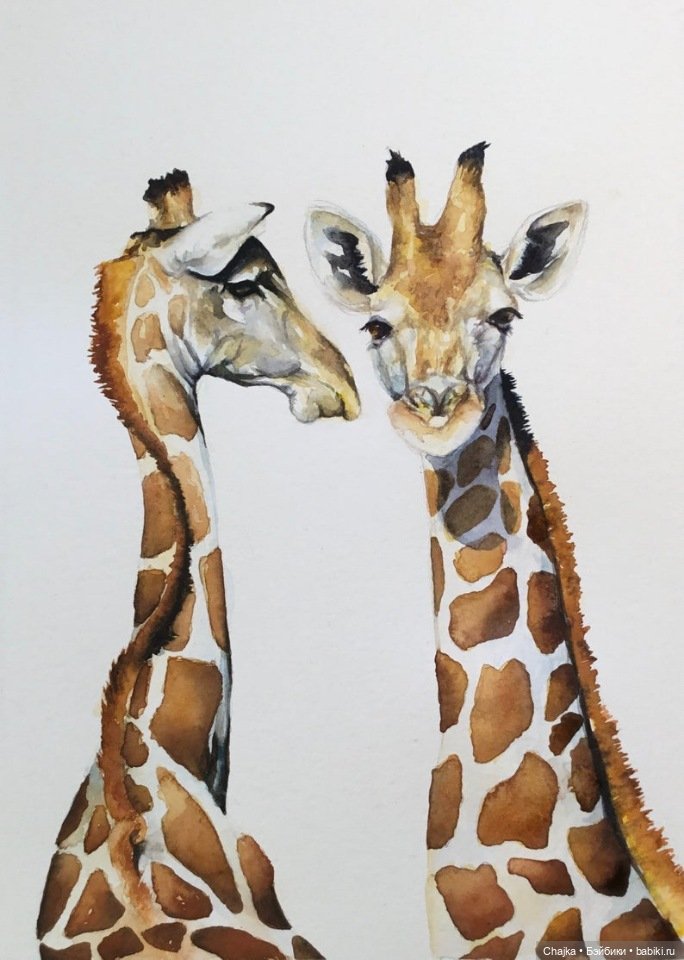 VMcgaugheyFineArt - Акварельная живопись британского художника Victoria Mcgaughey (фото 8)