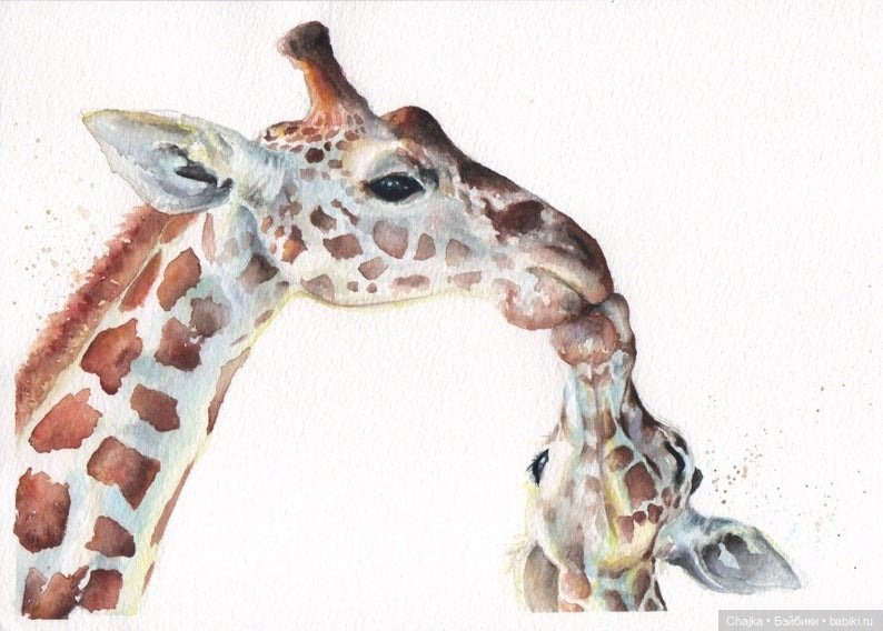 VMcgaugheyFineArt - Акварельная живопись британского художника Victoria Mcgaughey