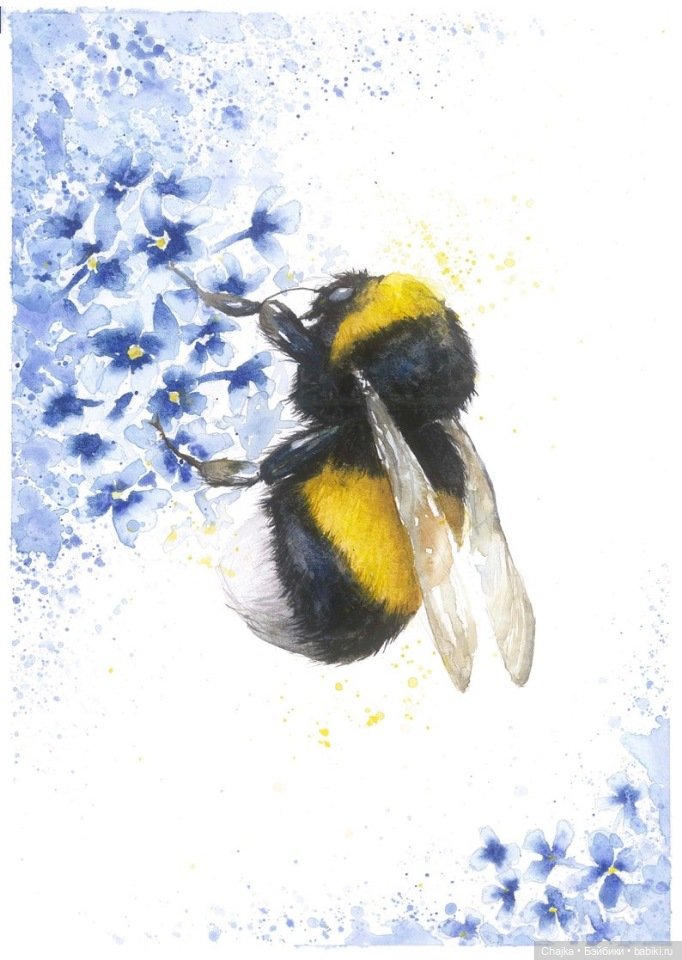 VMcgaugheyFineArt - Акварельная живопись британского художника Victoria Mcgaughey