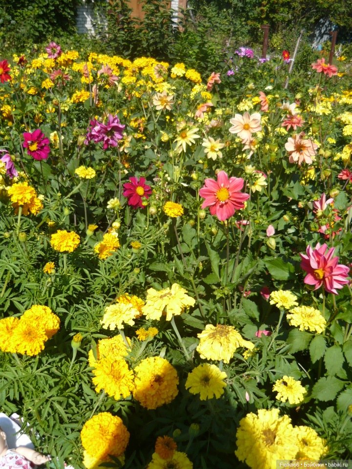 Аленка от Effanbeе, США — Куклы Effanbee (Эффанби): Patsy (Патси) (фото 10)