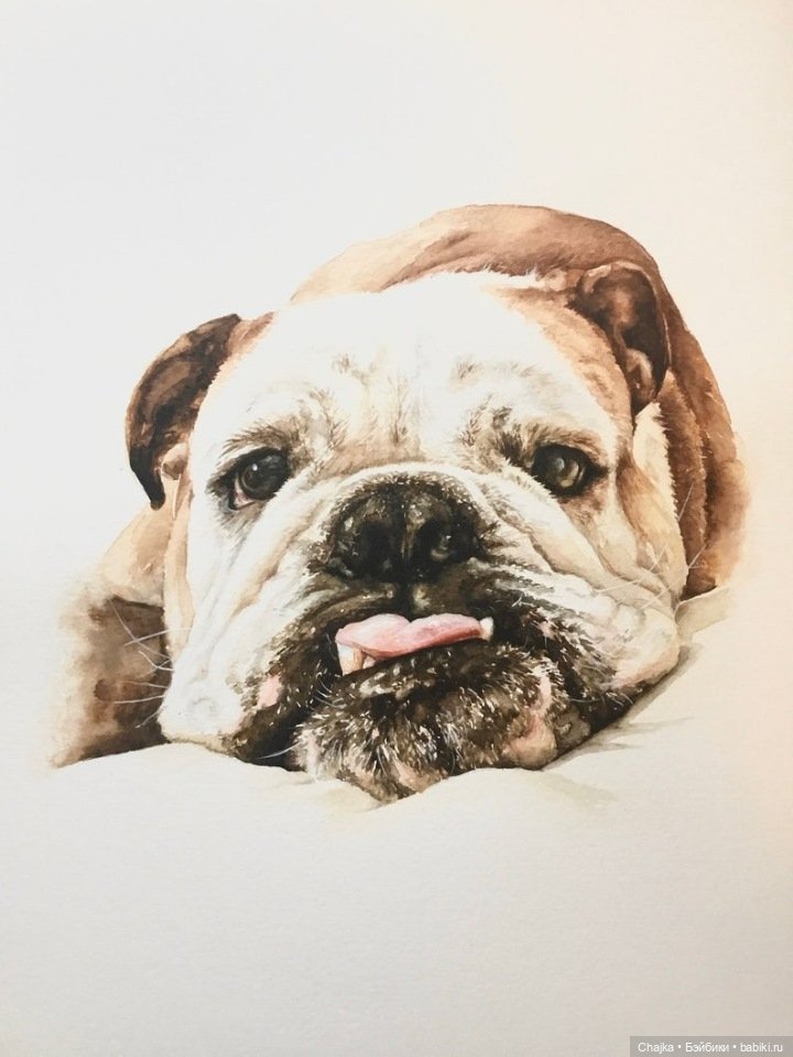 VMcgaugheyFineArt - Акварельная живопись британского художника Victoria Mcgaughey