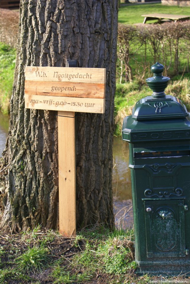 Весенняя прогулка в лесопарке с мопсами и вихтелями (фото 2)