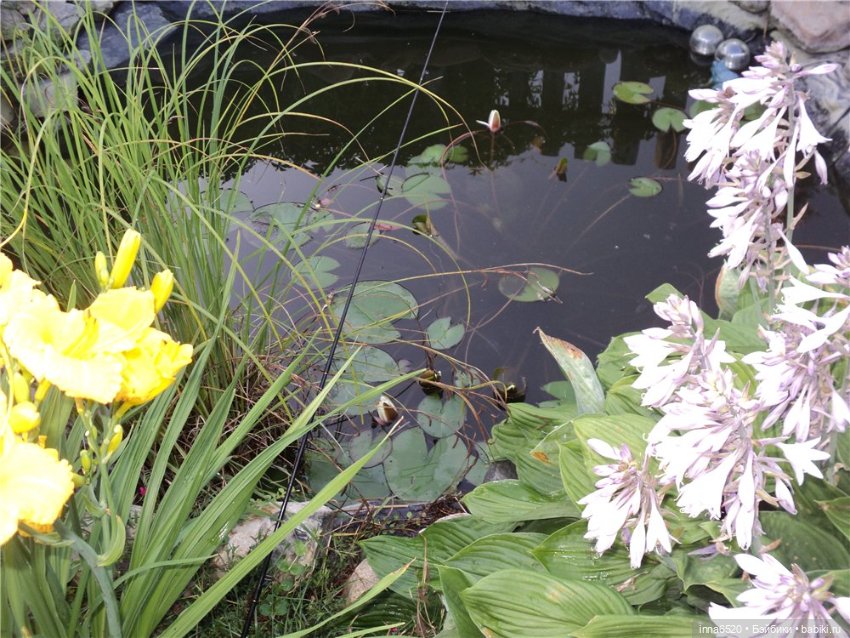 Как хорошо когда сестра есть рядом!!! Продолжение