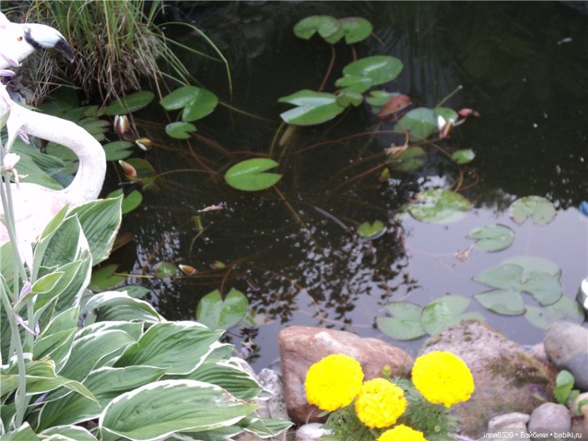 Как хорошо когда сестра есть рядом!!! Продолжение