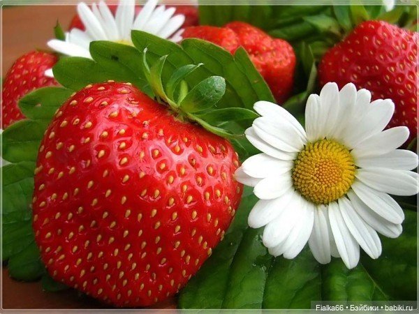 Лето, лето к нам пришло... Летние наряды крючком для кукол Готц (фото 3)