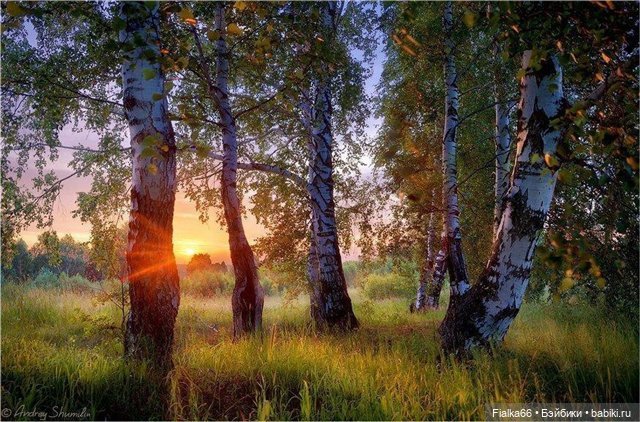 Лето, лето к нам пришло... Летние наряды крючком для кукол Готц (фото 2)