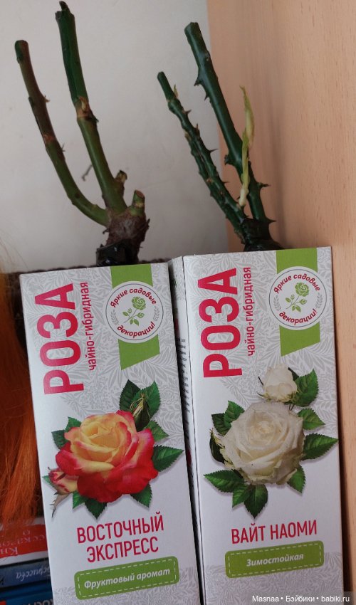 Бывает и так — Куклы Somniadolls (Наталья Долозова): российские BJD (БЖД)