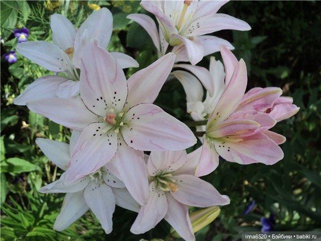 Продолжаем утепляться!!! Наряды для моих кукол